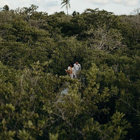 Nativus Glamping & Cenote Tulum Hotel Exterior photo