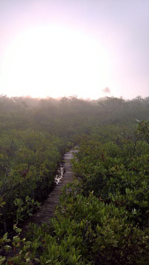Nativus Glamping & Cenote Tulum Hotel Exterior photo